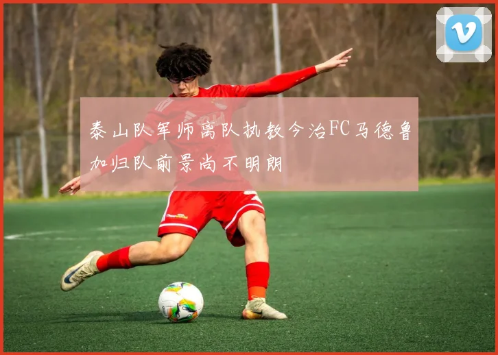 泰山队军师离队执教今治FC马德鲁加归队前景尚不明朗