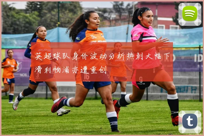 英超球队身价波动分析热刺大幅下滑利物浦亦遭重创