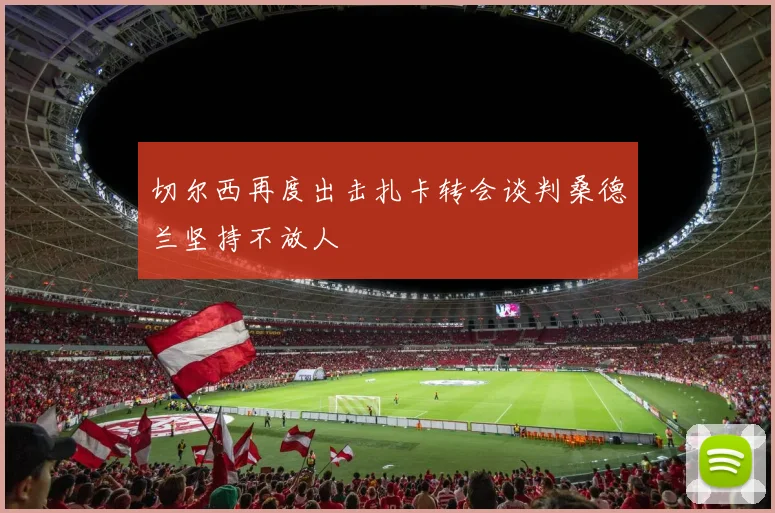 切尔西再度出击扎卡转会谈判桑德兰坚持不放人